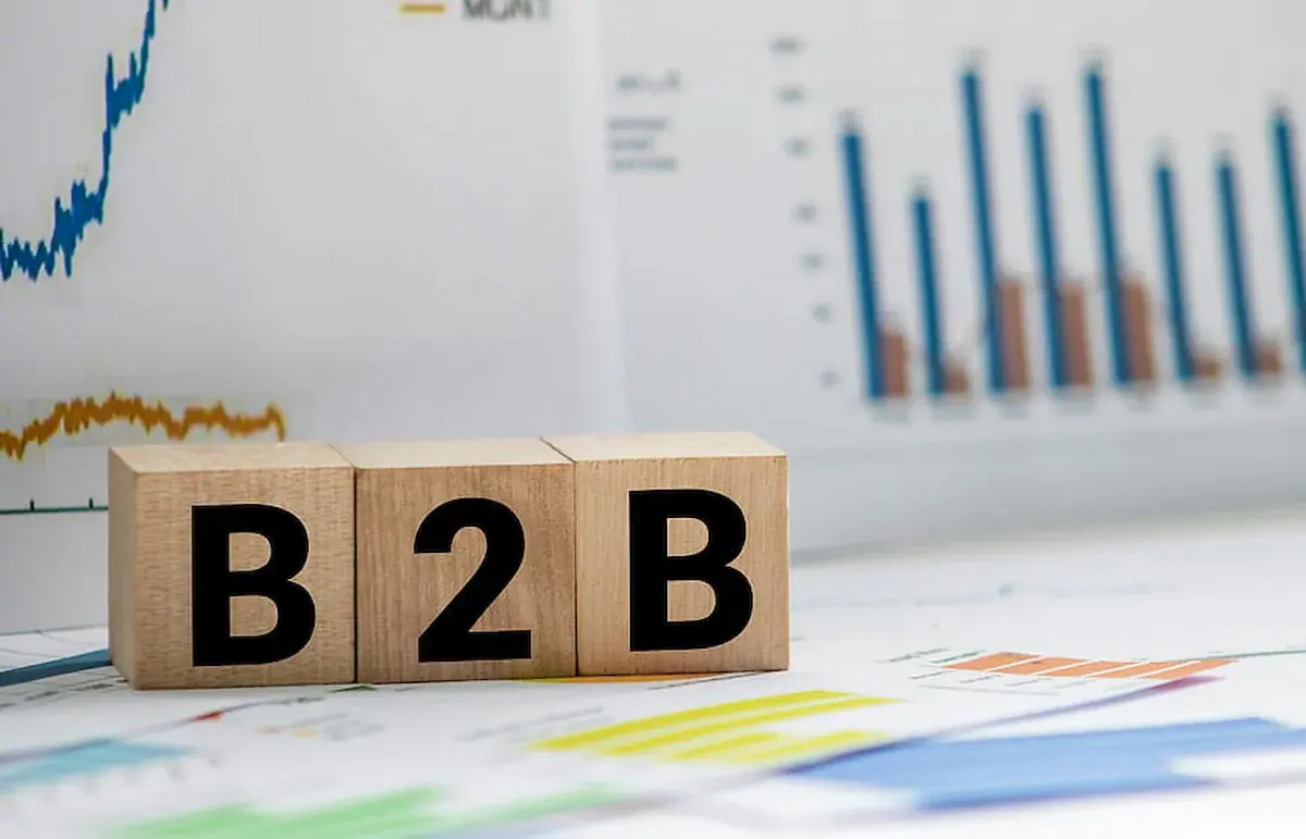 Case study TechFlow Solutions, B2B lead generation through Google Ads